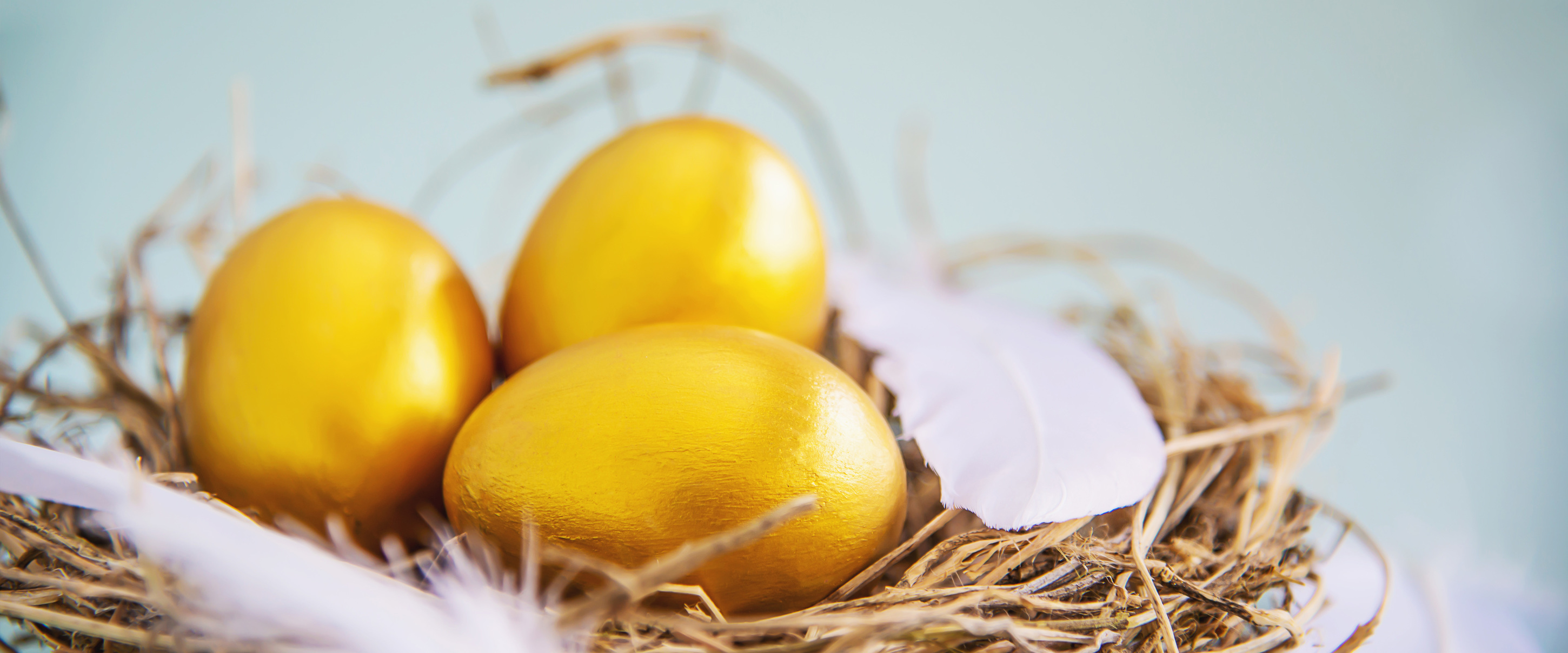 목욕관리사 수입 및 전망